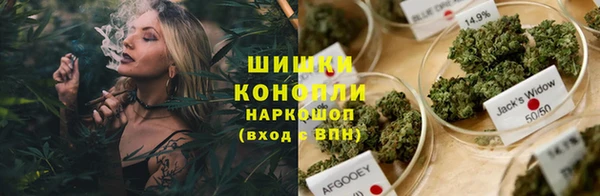 гашик Богородицк