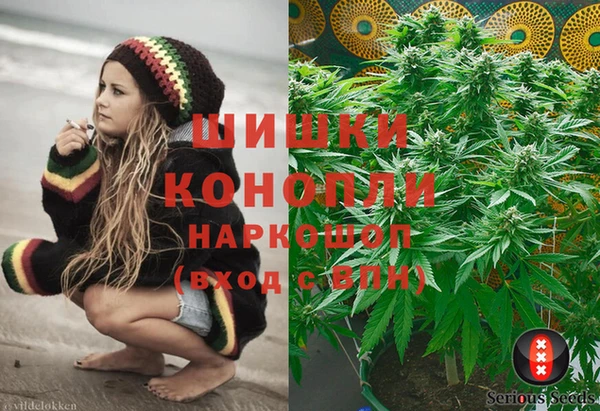 гашик Богородицк
