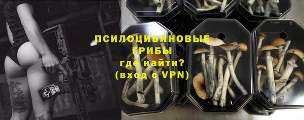 гашик Богородицк