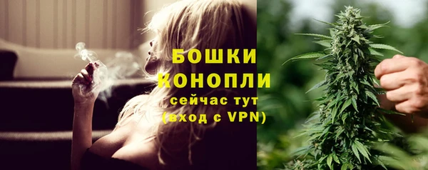 ПСИЛОЦИБИНОВЫЕ ГРИБЫ Богородск