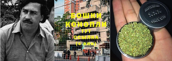 ПСИЛОЦИБИНОВЫЕ ГРИБЫ Богородск