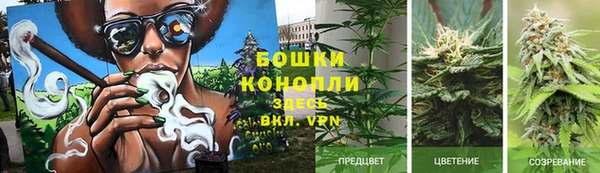 ПСИЛОЦИБИНОВЫЕ ГРИБЫ Богородск