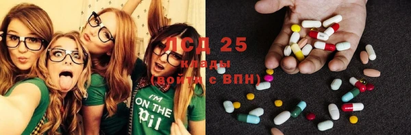 ПСИЛОЦИБИНОВЫЕ ГРИБЫ Богородск