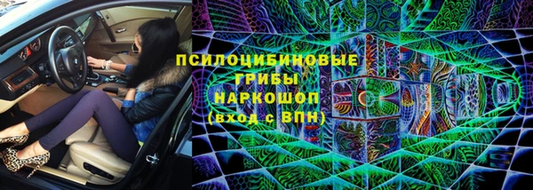 гашик Богородицк