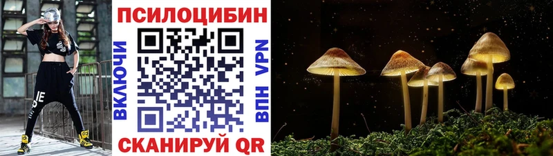 Галлюциногенные грибы Psilocybine cubensis  купить наркотики цена  blacksprut маркетплейс  Шагонар 